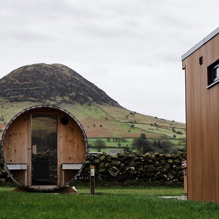 Slemish Hideaway - Funky Pheasant Broughshane Exterior foto