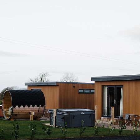 Slemish Hideaway - Funky Pheasant Broughshane Exterior foto