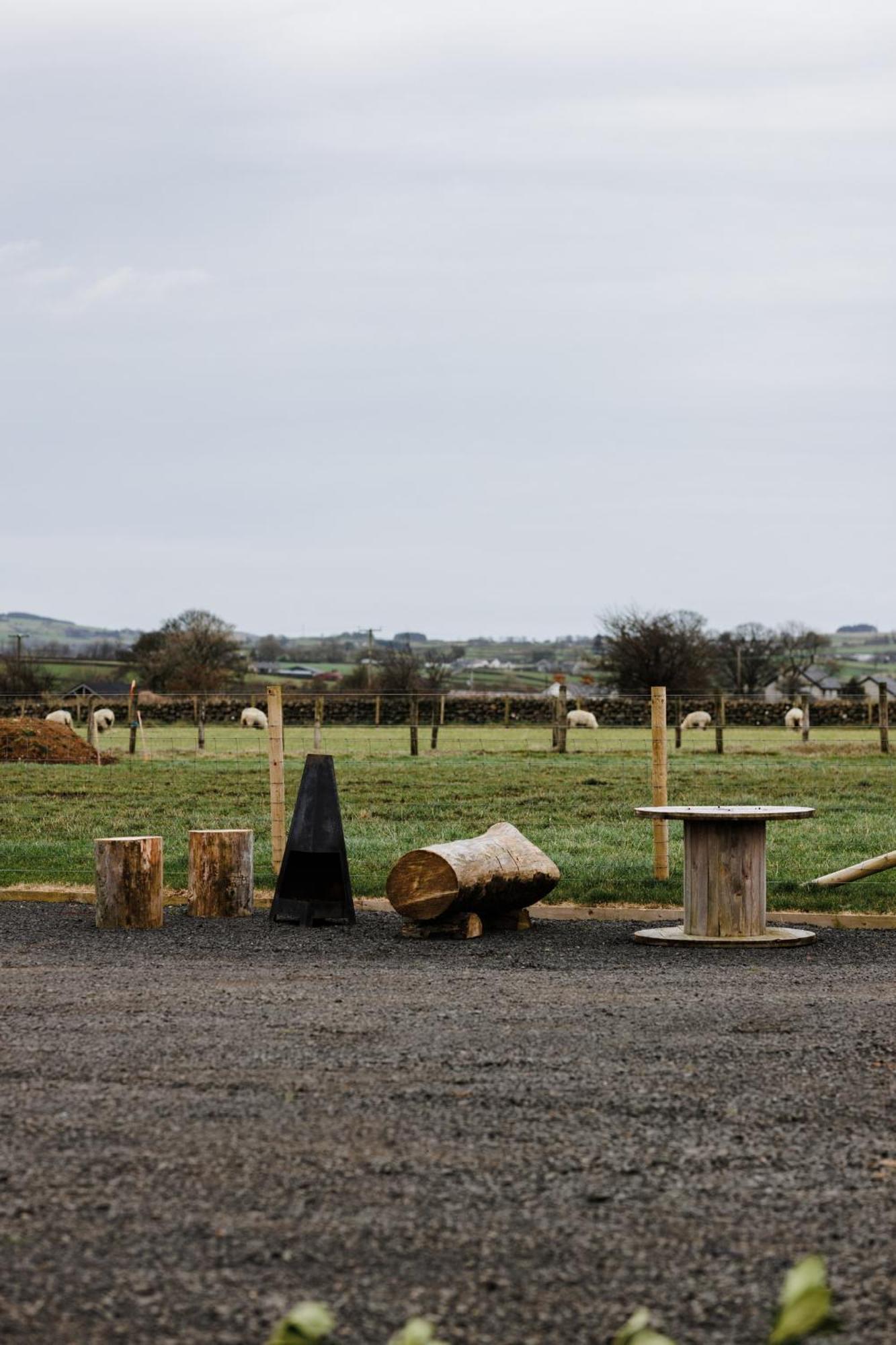 Slemish Hideaway - Funky Pheasant Broughshane Exterior foto