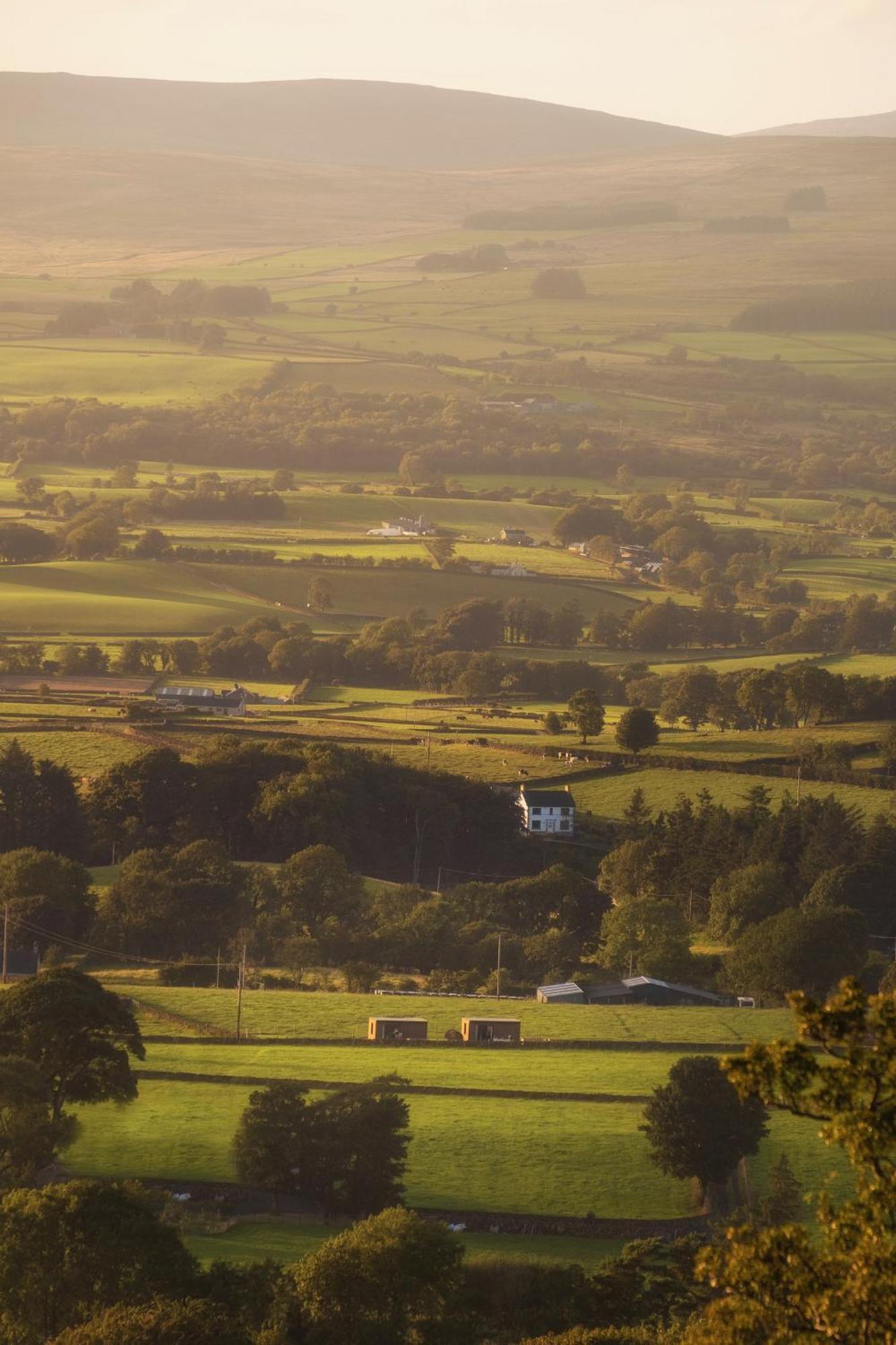Slemish Hideaway - Funky Pheasant Broughshane Exterior foto